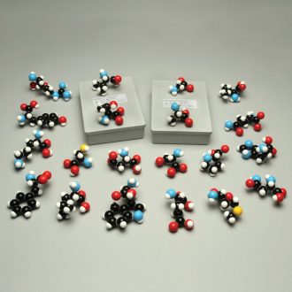 Molymod® 20-Amino Acid Set