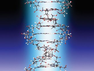 Orbit™ Proview DNA Model