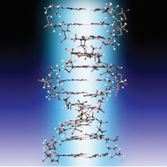 Orbit™ Proview DNA Model
