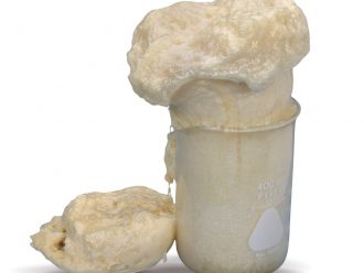 Polyurethane Foam Classroom Kit