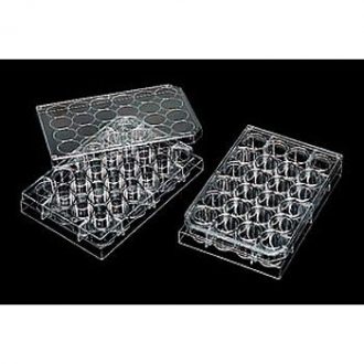 Microplate, Large (24 wells), Pack of 10