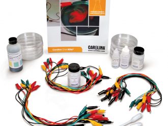 Petri Dish Electrolysis Kit