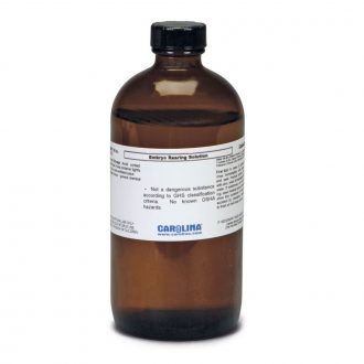 Embryo Rearing Solution, Laboratory Grade, 500 mL