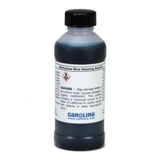 Methylene Blue Staining Solution, 0.2% in 25% Ethanol, Laboratory Grade, 100 mL