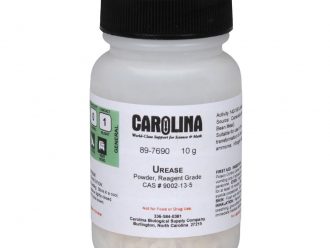 Urease, Powder, Reagent Grade, 10 g