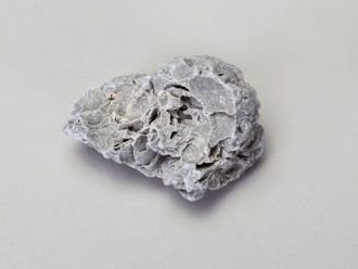 Fossil Limestone (pack/10)