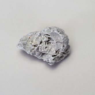 Fossil Limestone (pack/10)