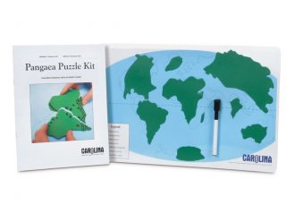 Pangaea Puzzle 1-Station Kit
