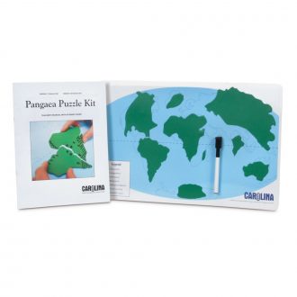 Pangaea Puzzle 1-Station Kit