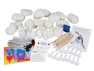 Real Fossil Identification Lab Kit