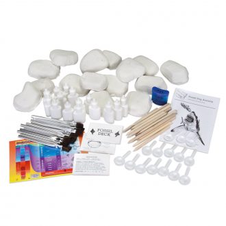 Real Fossil Identification Lab Kit