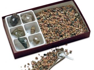 Fossil Hunt Kit