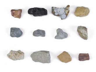 Carolina® Sedimentary Rock Set