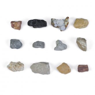 Carolina® Sedimentary Rock Set