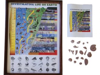 Investigating Life on Earth Set