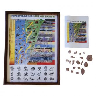 Investigating Life on Earth Set