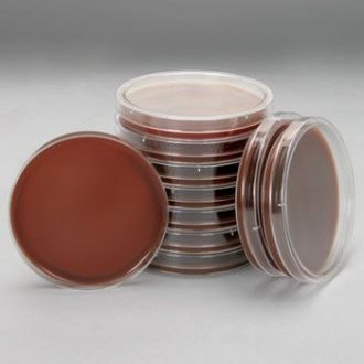Columbia Agar with 5% Sheep Blood, Prepared Media Plates, 100 x 15 mm, Pack of 10