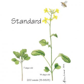 Wisconsin Fast Plants® Standard Seed, Pack of 200