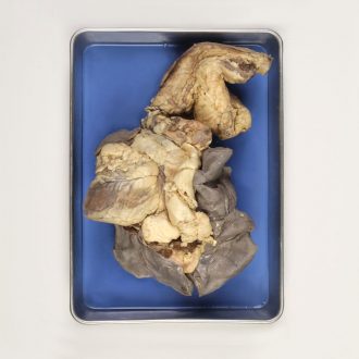 Formalin Sheep Pluck, Plain, 1 Per Bag