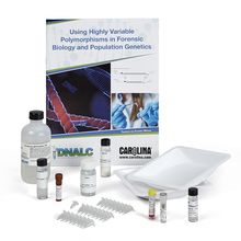 Using Highly Variable Polymorphisms Extraction, Amplification, and Electrophoresis Kit with GelGreen® Stain and 0.2-mL Tubes (with perishables)