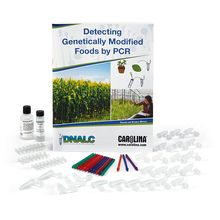 GM Food Extraction and Amplification Kit with 0.2-mL Tubes (with perishables)