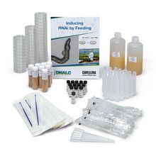 Inducing RNAi by Feeding Kit (with perishables)