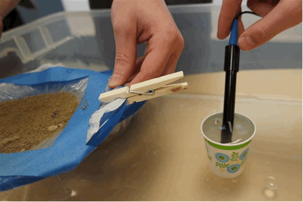 A Middle School STEM Challenge